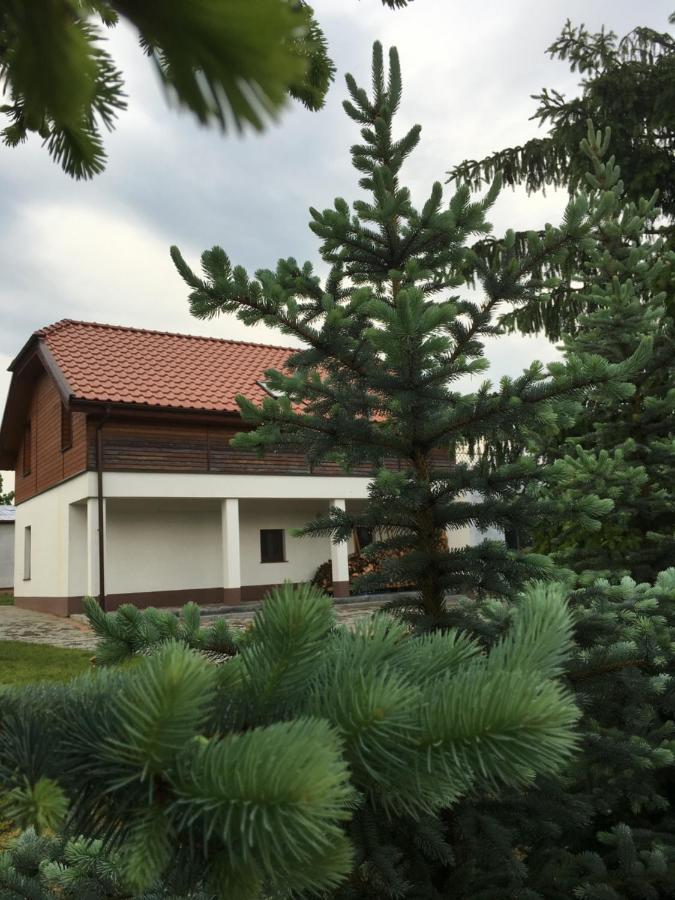 Pokoje Kasztanowa Wilkasy Εξωτερικό φωτογραφία