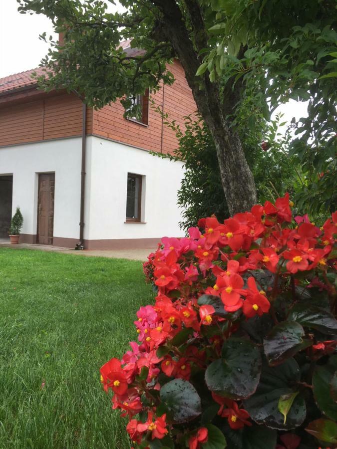 Pokoje Kasztanowa Wilkasy Εξωτερικό φωτογραφία